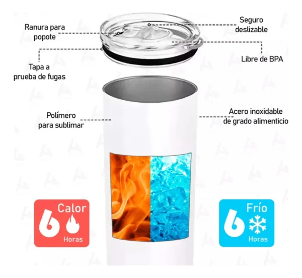 Termo Gato Aventurero 20 Oz | Tumbler Skinny Sublimado - Imagen 4